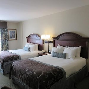 Deluxe  Queen Room Disability Access